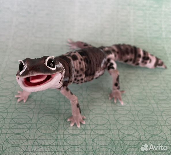 Фигурка Геккон Япония