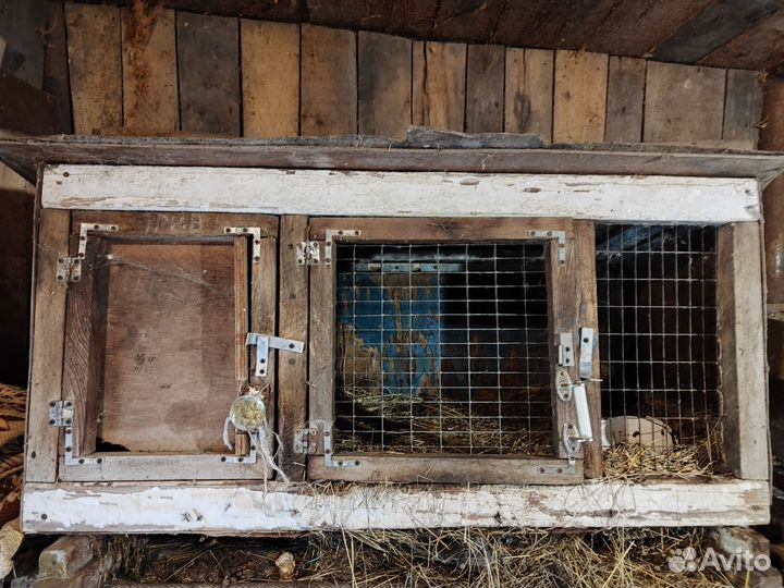 Клетка для кролика и птицы