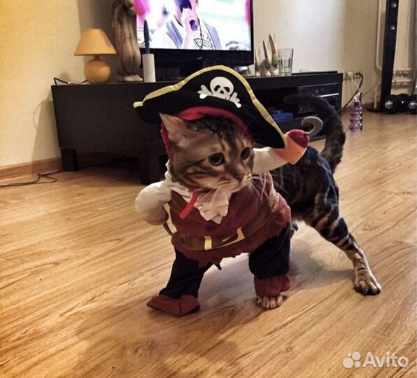 Костюм пирата, шлейка рюкзак