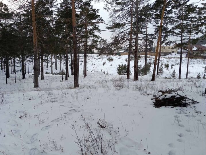 Участок 3,2 га (ИЖС)