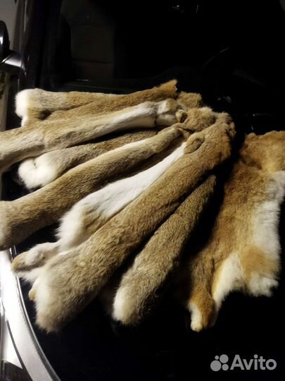 Шкура кролика