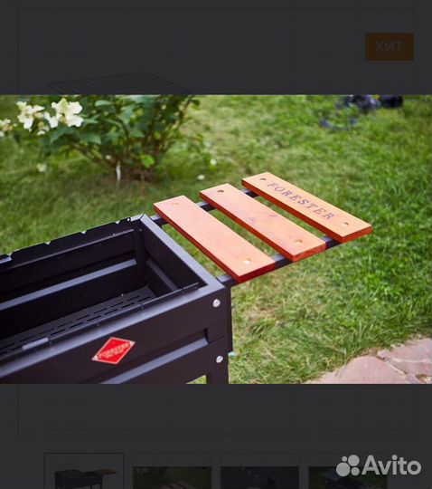 Термо-гриль со стационарной полкой Forester BQ-907