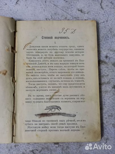 Сетон-Томпсон Э. Степной волченок