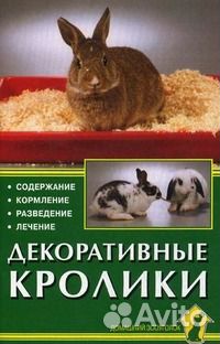 Декоративные кролики. Содержание. Разведение