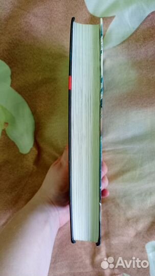 Академия вампиров книга 5