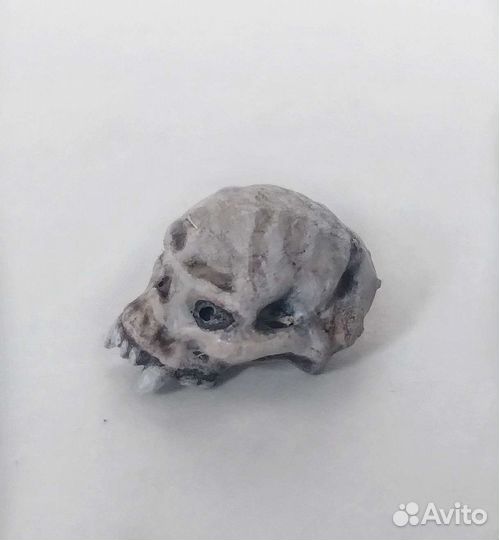 Череп монстра