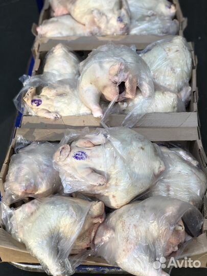 Индейка/Курица домашняя/Халяль/в агропарке