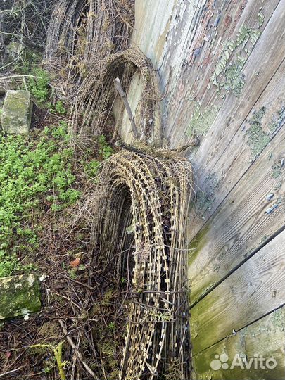 Колючая проволока