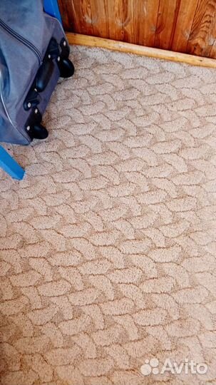 Прокат, аренда моющего пылесоса, химчистка,клининг