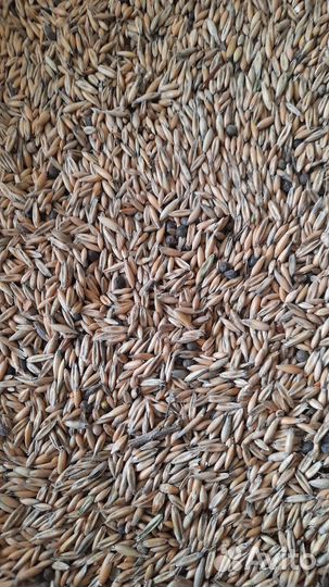 Овес в мешках