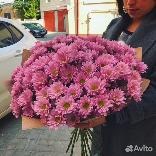 Хризантема