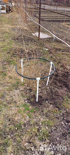 Опора для растений Кустодержатель