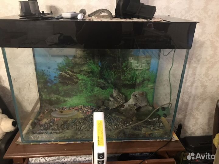Аквариум