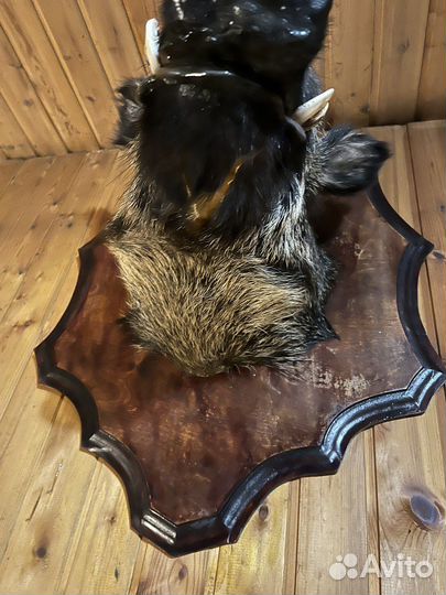 Чучело головы кабана имитация