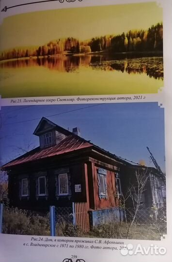Биография Сергей Афоньшин и его Солнечное дерево