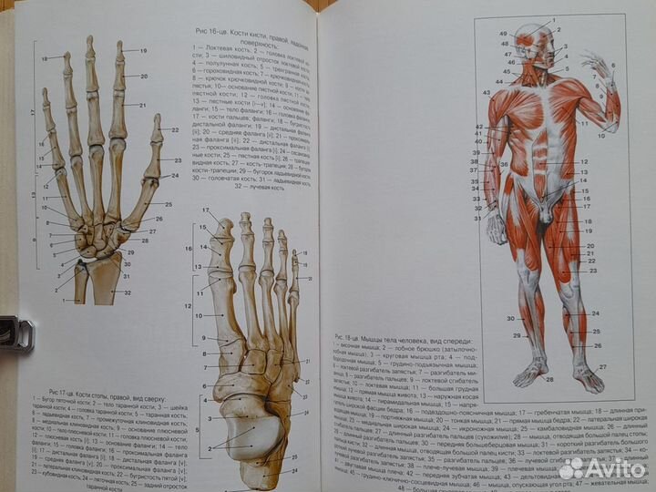 Популярная медицинская энциклопедия