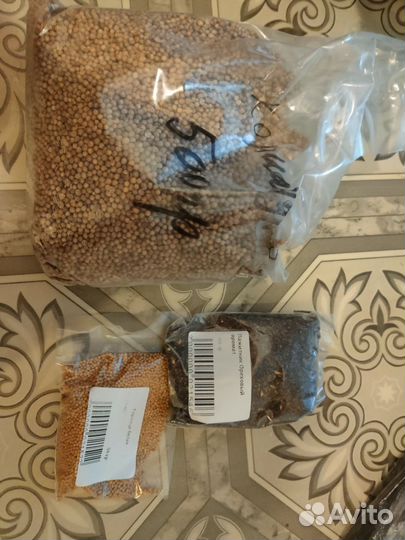 Семена, Семена для микрозелени