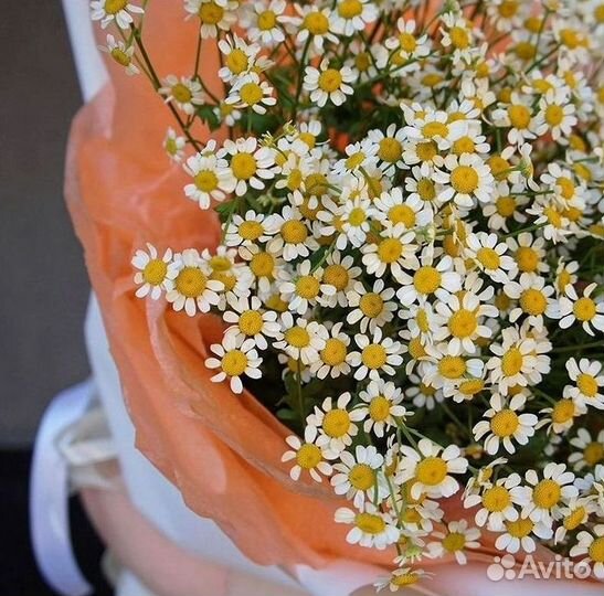 Ромашки Пионы Розы Доставка