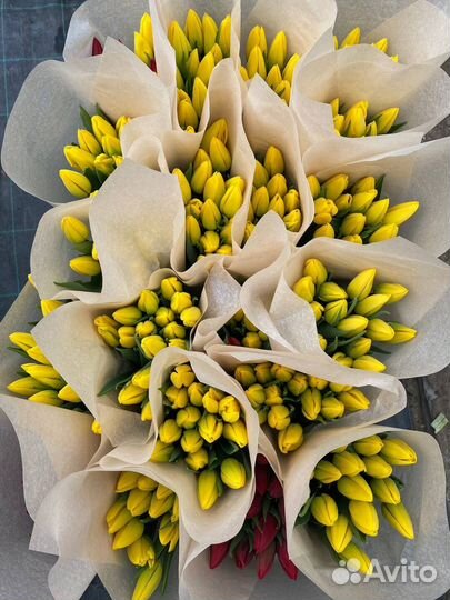 Тюльпаны к 8 марта