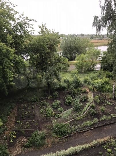 Комната 14,4 м² в 4-к., 3/5 эт.