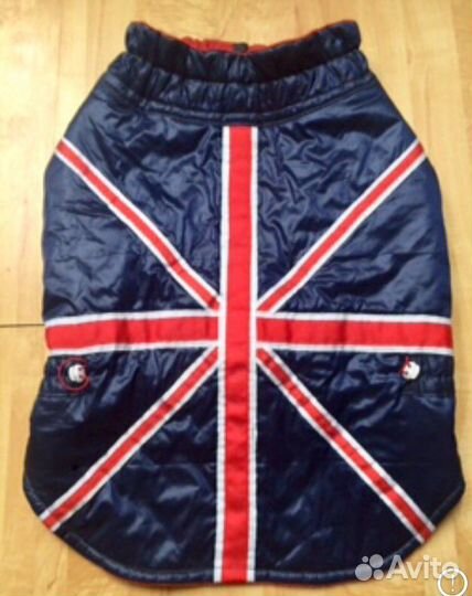 Одежда для собак (английский бульдог)