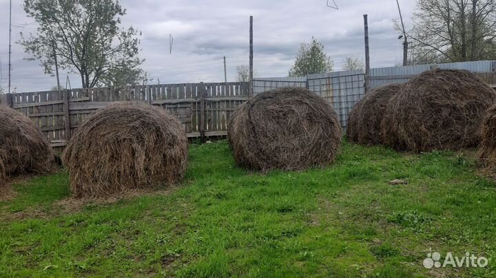 Сено в рулонах