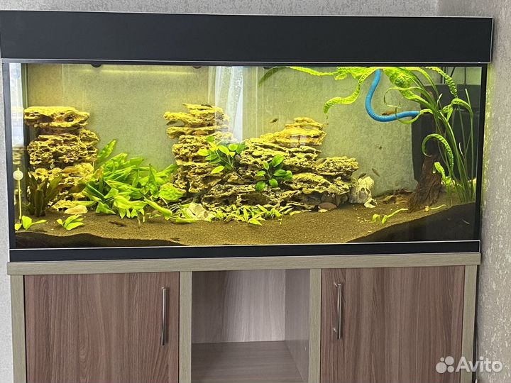 Аквариум