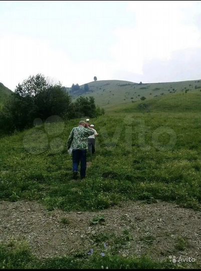 Участок 70 га (СНТ, ДНП)