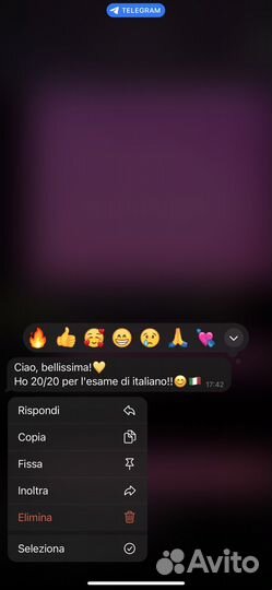 Итальянский и английский язык преподаватель