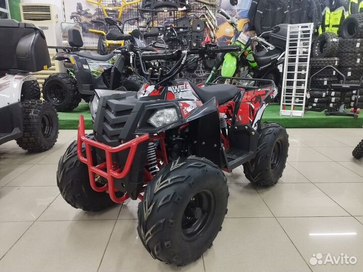 Детский квадроцикл thunder EVO.M 110