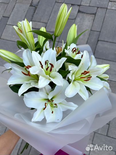 Цветы Букет цветов с доставкой Любые букеты