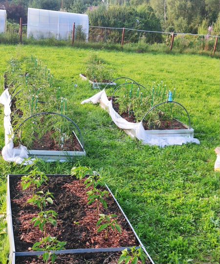 Участок 40 сот. (ИЖС)