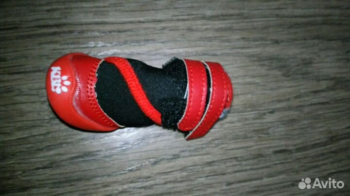 Ботиночки для маленькой собачки