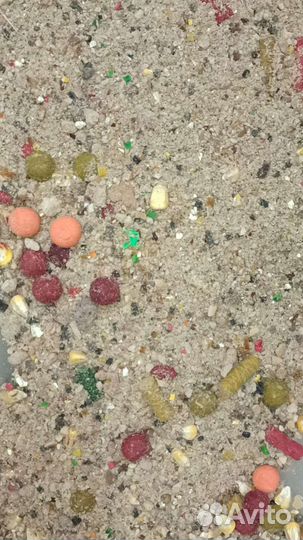 Прикормка для рыбалки