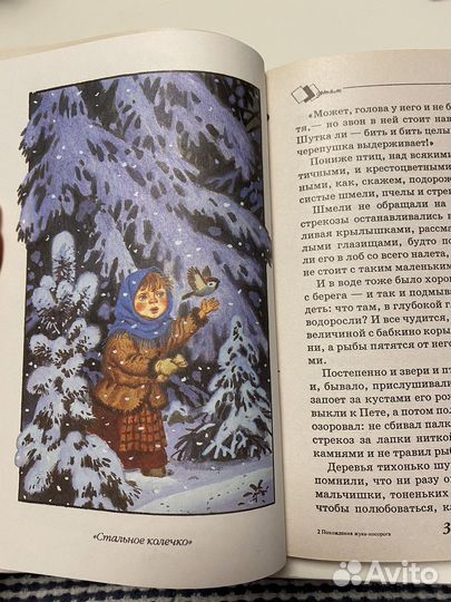 Константин Жуковский Похождения жука-носорога