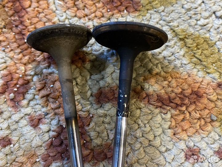 Клапана vesta