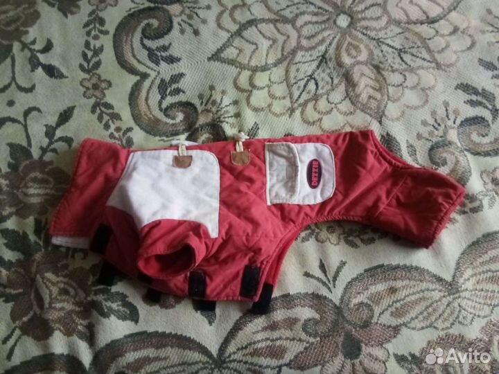 Комбинезон для маленькой собачки