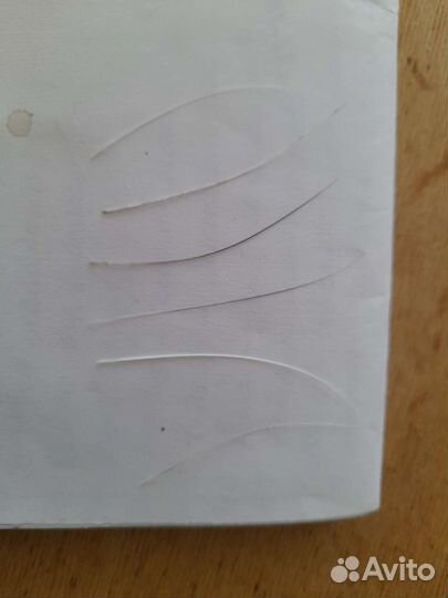 Кошачьи усы