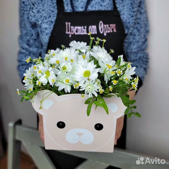 Хризантемы Ромашки