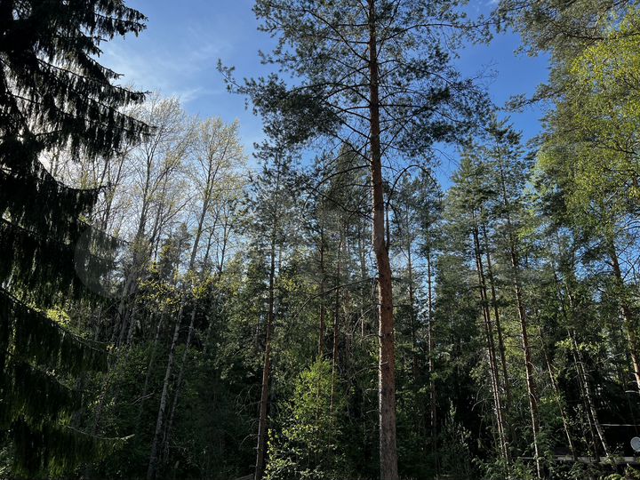 Участок 13 сот. (ИЖС)