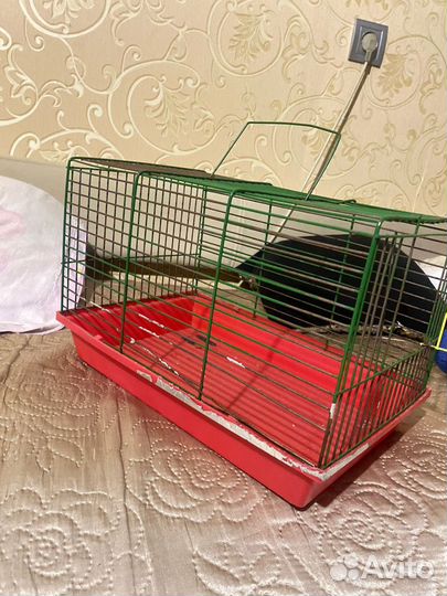 Клетка для грызунов