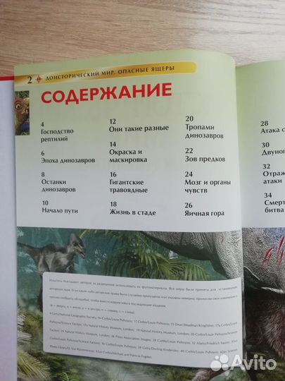 Книги ''Футбол'' и ''Доисторический мир