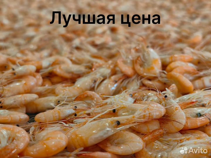 Креветка крупная оптом и в розницу