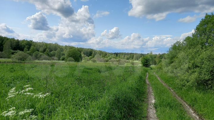 Участок 84,39 га (СНТ, ДНП)