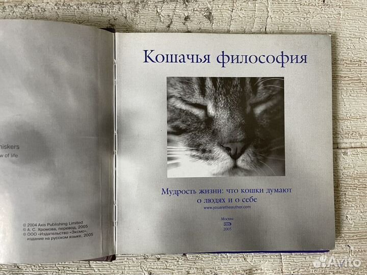 Кошачья философия. Мудрость жизни