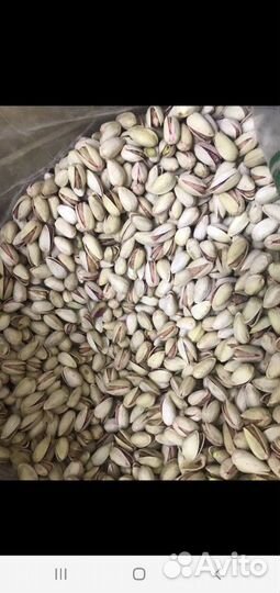 Фисташки иран