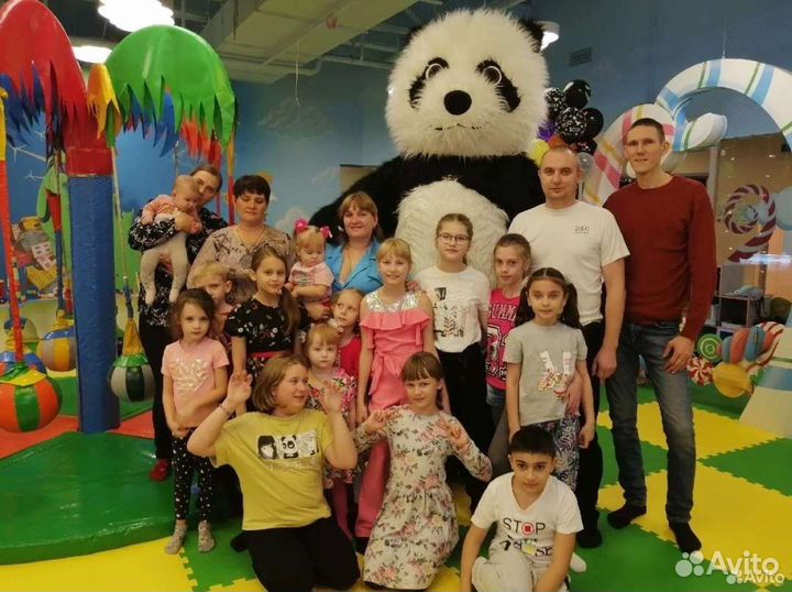 Панда/аниматоры/белый мишка аниматор