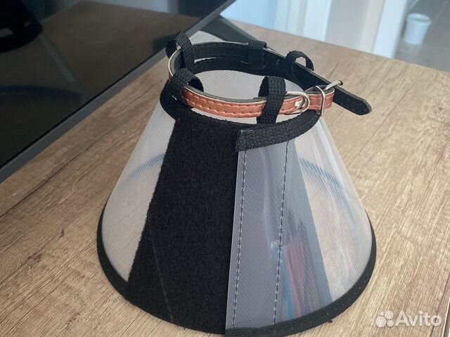 Воротник защитный для животных animall