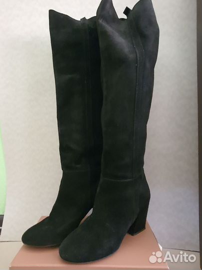 Ботфорты сезона 2023-2024 г