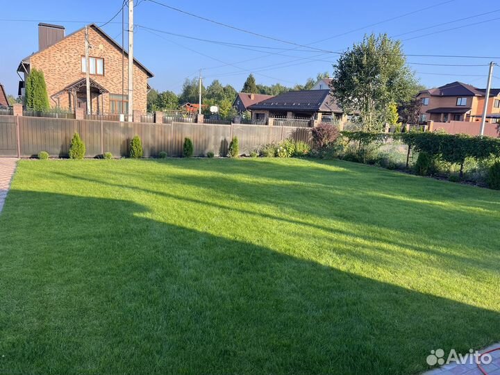 Скарификатор Аэратор аренда